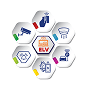 ELV Systems img